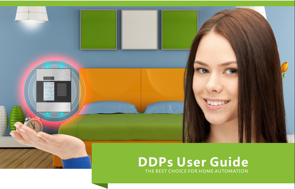 DDPs User Guide v3.0
